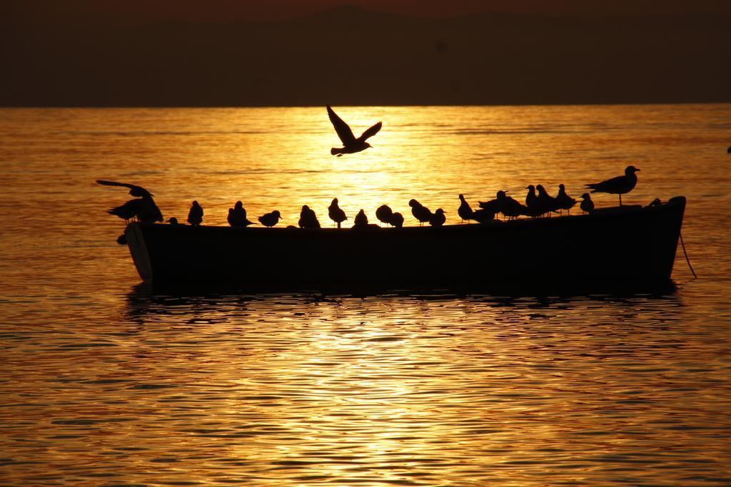 Vista Makarska